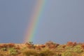 Rainbow landscape, Kalahari desert, South Africa Royalty Free Stock Photo