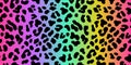 Rainbow leopard vector seamless pattern. Neon gradient Royalty Free Stock Photo