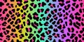 Rainbow leopard vector seamless pattern. Neon gradient Royalty Free Stock Photo