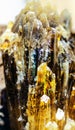 Rainbow light reflections on healing Citrine, Amber Honey Calcite, Quartz wild jewels.