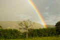 A rainbow is a meteorological phenomenon that is caused by reflection, refraction and dispersion of light in water droplets. Royalty Free Stock Photo