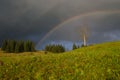 Rainbow in the mountain valley after rain. Beautiful landscape. Royalty Free Stock Photo