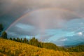 Rainbow in the mountain valley after rain. Beautiful landscape in Carpathians. Ukraine Royalty Free Stock Photo