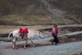 RAINBOW MOUNTAINES, PERU - OCTOBER 8, 2016: Native peruvian man wearing traditional clothes and hat with his horse goes uphill. Royalty Free Stock Photo