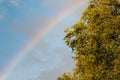 Rainbow and oak tree