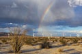 Rainbow, ocotillo, and wind turbines in the desert