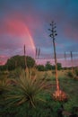 Rainbow over Chihuahuan Desert Nature Center Royalty Free Stock Photo