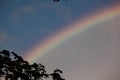 Rainbow over the cloud forest in Monteverde, Costa Rica