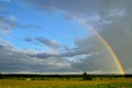 Rainbow over cornfield