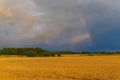 Rainbow over field of ripe wheat Sweden Royalty Free Stock Photo