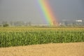 The Rainbow over a field during summer Royalty Free Stock Photo