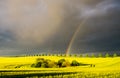 Rainbow over a field of young corn Royalty Free Stock Photo