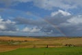 Rainbow over fields of vines, olives and green wheat fields Royalty Free Stock Photo