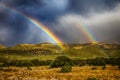 Rainbow over forest