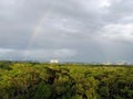 Rainbow over forest in Singapore