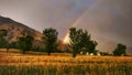 Rainbow over Golden wheat harvest farmland organic Indian farming in remote Himalayas Royalty Free Stock Photo