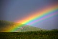 Rainbow over grass filed