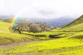 Rainbow Over Green Hills and Meadows in Spring Royalty Free Stock Photo