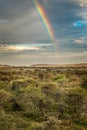 Rainbow over the landscape of the Serengeti, Tanzania Royalty Free Stock Photo