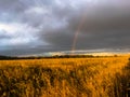 Rainbow over the field Royalty Free Stock Photo