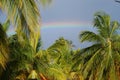 Rainbow over palm trees after a tropical downpour over the island of Saona Royalty Free Stock Photo