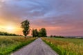 Rainbow over the summer field Royalty Free Stock Photo