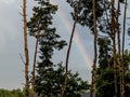 Rainbow, over trees and village buildings, in the sky after the rain