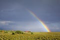 Rainbow over vineyards field. Riquewihr, Alsace, France Royalty Free Stock Photo