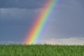 Rainbow over wheat field Royalty Free Stock Photo