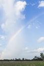 Rainbow on paddy field