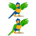 Rainbow Parrot Pointing Or Showing Something With His Wing. Vector Illustration.