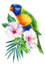 Rainbow parrot and tropical hibiscus flower on isolated white background, watercolor illustration, jungle design