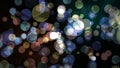 rainbow pastel bubble divine dimension bokeh blur absract dark green red isolated