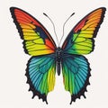 Rainbow pattern butterfly isolated white background it's designer choice Royalty Free Stock Photo