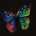 Rainbow pattern butterfly isolated white background it's designer choice best quality Royalty Free Stock Photo