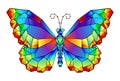 Rainbow polygonal butterfly Royalty Free Stock Photo