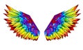 Rainbow polygonal wings on white background Royalty Free Stock Photo