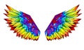 Rainbow polygonal wings on white background