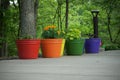 Rainbow potted plants found in Pittsburgh Botanic Garden Royalty Free Stock Photo