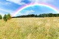 Rainbow after rain. Green meadow blue sky