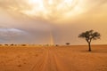 Rainbow after the rain in Namib Desert Royalty Free Stock Photo