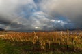 Rainbow in rainy weather in late fall. Wine route in Alsace