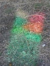 Rainbow reflection in grass