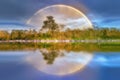 Rainbow Reflection Trees Forest Royalty Free Stock Photo