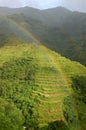 Rainbow and rice terraces