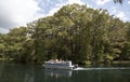 Rainbow River Dunnellon Florida USA Royalty Free Stock Photo