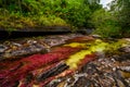 The rainbow river or five colors river is in Colombia