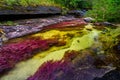 The rainbow river or five colors river is in Colombia Royalty Free Stock Photo