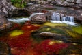 The rainbow river or five colors river is in Colombia Royalty Free Stock Photo