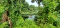 Rainbow River headspring, Florida Royalty Free Stock Photo